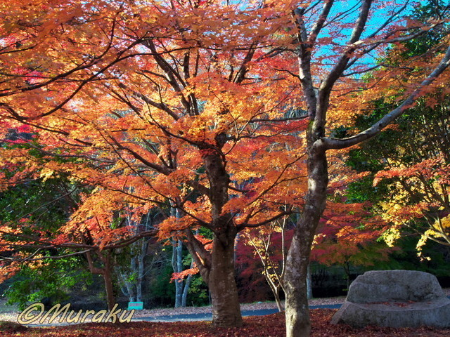 hotoke02.jpg