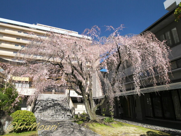 fumonji06.jpg