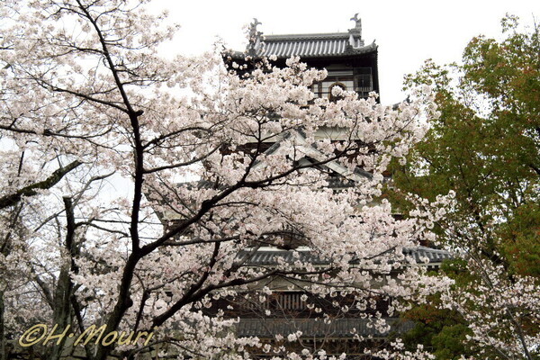 hirosimajo01.jpg