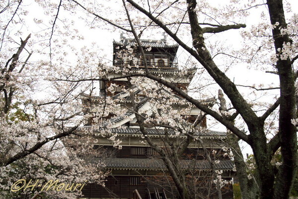 hirosimajo02.jpg