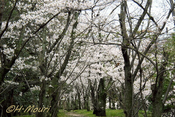 hirosimajo05.jpg